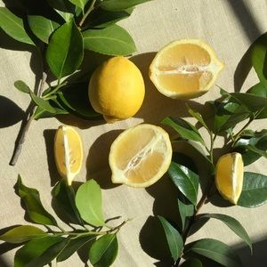 Meet your Posher, Hallie